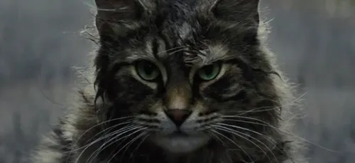 Simetierre : une nouvelle bande-annonce angoissante (Vidéo)