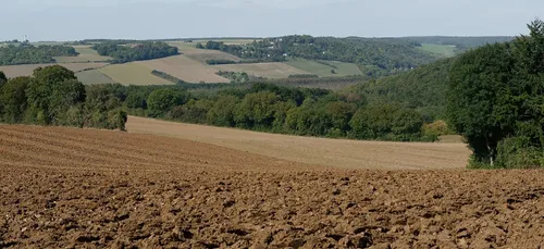 Val-d’Oise : inquiétude autour d'une possible contamination des...
