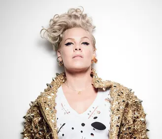 Quand Pink recadre un internaute sur Instagram (Photo)