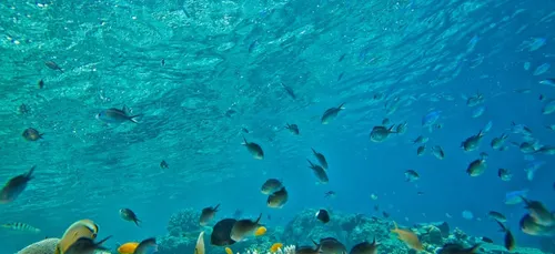 Under : le premier restaurant d’Europe sous l’eau ! (photo)