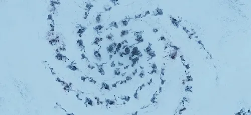 Game of Thrones : que veulent dire les spirales des marcheurs blancs ?