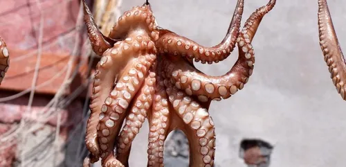 Une blogueuse beauté se fait dévorer le visage par un poulpe (Vidéo)