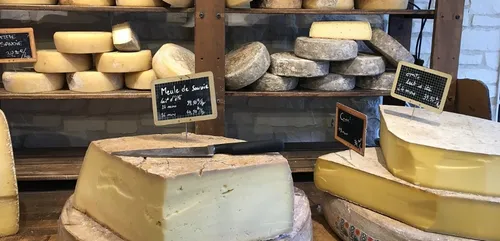 Découvrez les fromages fabriqués à partir de bactéries...
