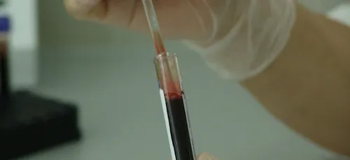 Val-d’Oise : un trentenaire condamné pour avoir transmis...