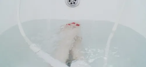 De nouvelles mesures pour faire des économies d'eau !