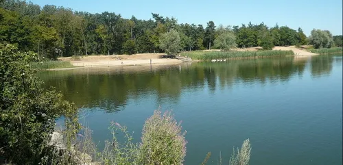 Yvelines : une campagne choc face aux risques de noyades