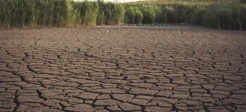 Sécheresse : des restrictions d’eau dans 16 communes du Val-de-Marne
