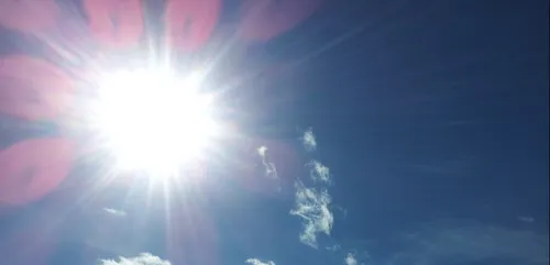 Ils font cuire des biscuits dans une voiture pour sensibiliser sur...