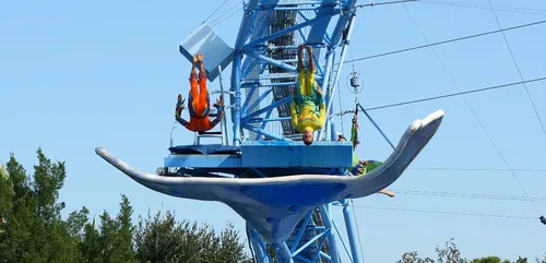 Découvrez le championnat du "plongeon de la mort", ou comment faire...