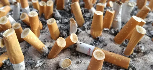 Des cendriers-sondages dans Paris pour jeter ses mégots ! (photos)