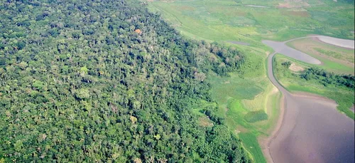 Incendies en Amazonie : une manifestation ce vendredi à Paris