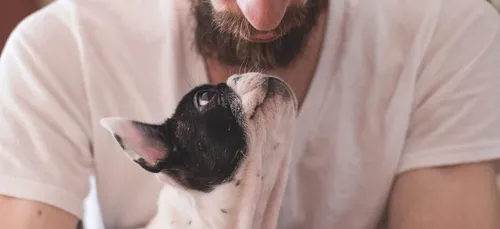 Dogfishing : la nouvelle technique de drague sur les sites de...