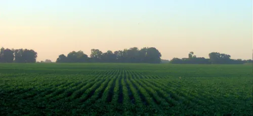 La fronde anti-pesticide s’organise chez les Franciliens