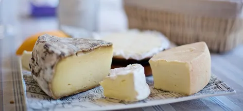 Manger du fromage permettrait d’allonger l’espérance de vie