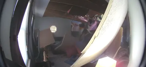 Un arbre traverse le toit de leur maison alors qu’elles regardent...