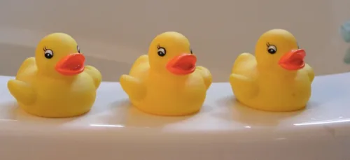 Une femme reste coincée huit jours dans sa baignoire