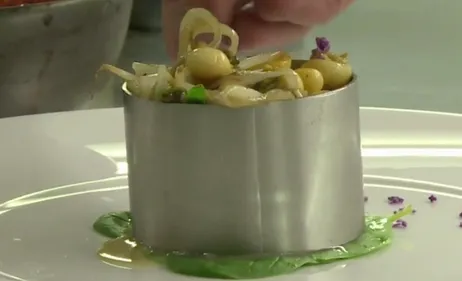 La crépidule, un mollusque invasif dans notre assiette