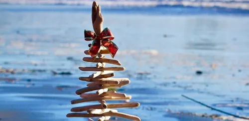 Zéro déchet : comment fabriquer son sapin de Noël en bois flotté