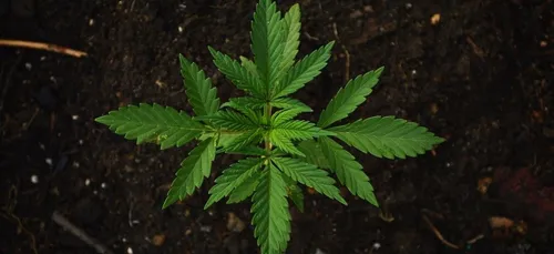 Paris : des habitants du 20ème arrondissement se mobilisent contre...