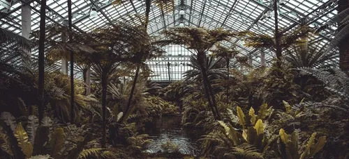 Les serres urbaines bioclimatiques : la climatisation par les plantes