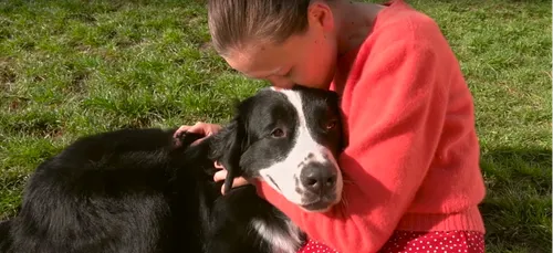 Fondation Frédéric Gaillanne : des chiens guides pour les enfants...