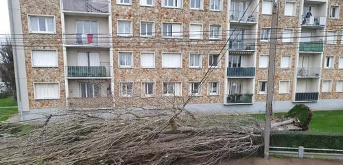 Tempête Ciara : encore 350 foyers privés d’électricité en...