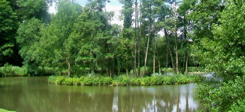 Villes vertes : l’Île-de-France a encore du chemin à parcourir