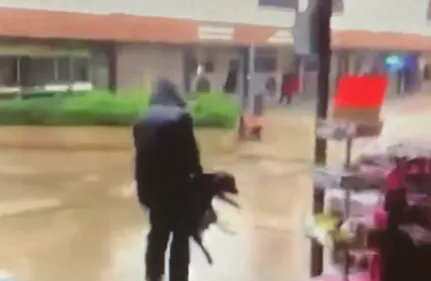 Poissy : un homme filmé en train de jeter son chien à terre (vidéo)