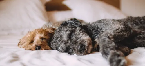 Astuce pour bien dormir et tasse éco-responsable : voici le journal...