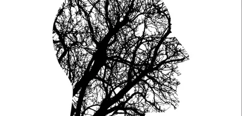 Neurodon : faire progresser la recherche sur le cerveau