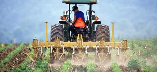 Les agriculteurs ont besoin de 200 000 paires de bras