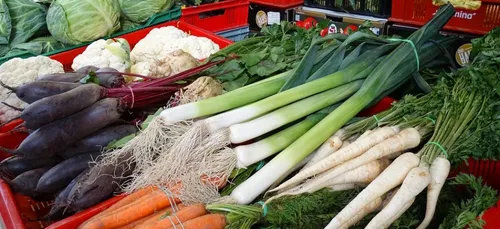 Confinement : une carte pour aider et trouver les petits...