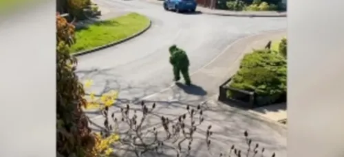 Il se déguise en buisson pour sortir du confinement sans se faire...