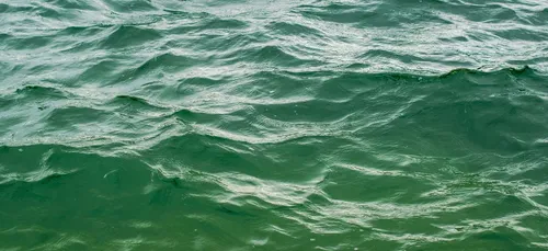 Paris : du Covid-19 dans l'eau "Non potable", la mairie rassure