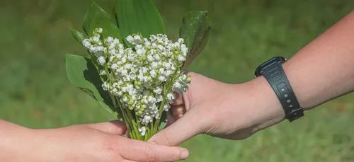 Du muguet pour aider les soignants