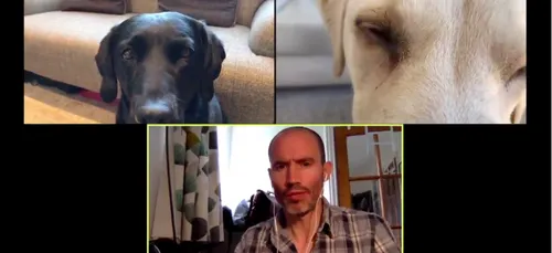 Il réalise une vidéoconférence avec ses chiens et fait un carton...