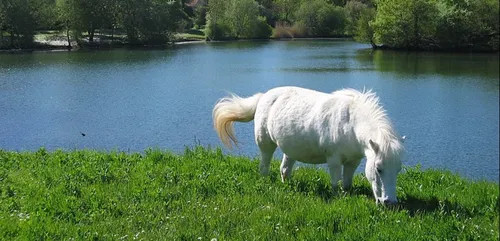 Les îles de loisirs d’Ile-de-France seront-elles ouvertes ce...