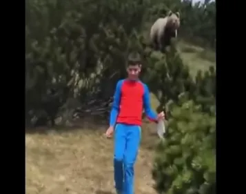 L'incroyable sang-froid de cet enfant tombé nez à nez avec un ours...