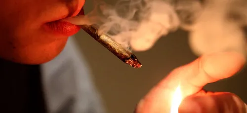 Une amende plutôt que la prison pour les consommateurs de cannabis