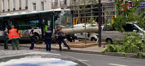Un bus de la RATP percute un arbre : 4 blessés légers (photos)