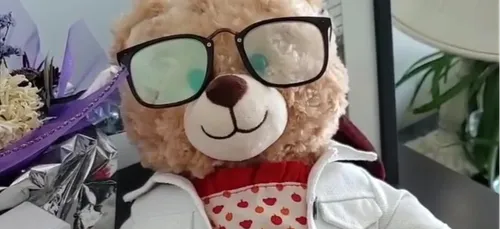 Un voleur dérobe sa peluche avec l’enregistrement de sa mère...