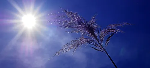 Pic de chaleur : 32 départements en alerte orange