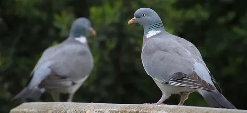 Ivry-Sur-Seine : un homme mort depuis six ans découvert grâce à des...
