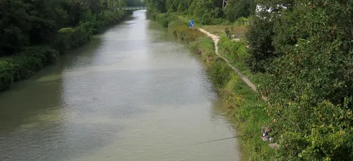 La baignade surveillée dans la Marne d’ici 2 ans