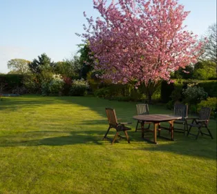 Louer un jardin pour une journée, c’est possible !