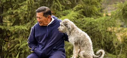 Médiation animale : des chiens pour aider les patients à aller mieux