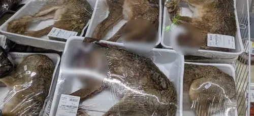 Des animaux entiers emballés sous vide au supermarché choquent les...