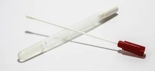 Dépistage du covid-19 : des tests antigéniques dans 30 lycées...