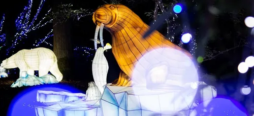 Le ZooSafari de Thoiry rouvre en partie ses portes