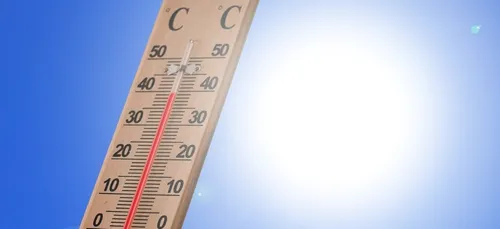 Climat : 2020, année la plus chaude à égalité avec 2016